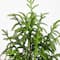 4ft. Unlit Norfolk Pine Artificial Potted Christmas Tree